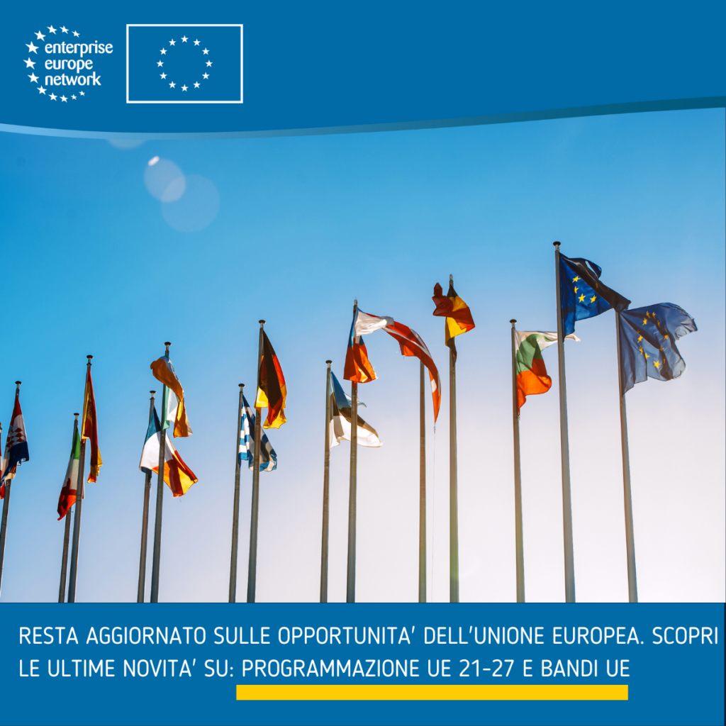 Bandiere Unione Europea